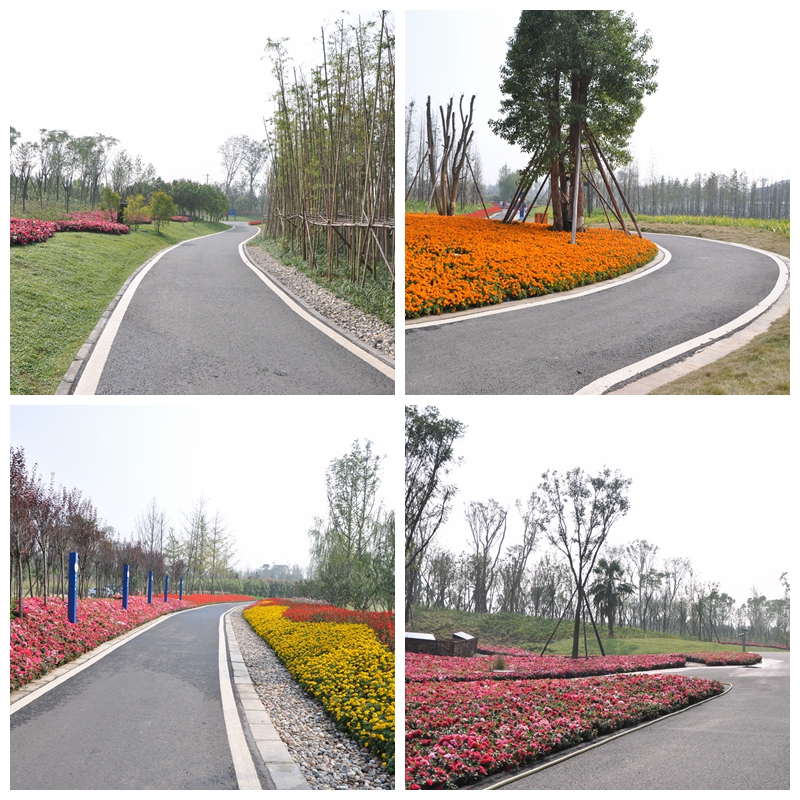 成都市三圣鄉白鷺溪生態濕地瀝青路面工程.jpg